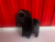http___export_content_baz_on_ru_pub_c4101_productphoto_0000_00_0000_00_332__http___export_content_baz_on_ru_pub_c4101_productphoto_0000_00_0000_00_2.j