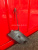 http___export_content_baz_on_ru_pub_c4101_productphoto_0000_03_0000_03_505__http___export_content_baz_on_ru_pub_c4101_productphoto_0000_03_0000_03_3.j