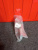 http___export_content_baz_on_ru_pub_c4101_productphoto_0000_04_0000_04_439__http___export_content_baz_on_ru_pub_c4101_productphoto_0000_04_0000_04_2.j
