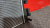 http___export_content_baz_on_ru_pub_c4101_productphoto_0000_02_0000_02_283__http___export_content_baz_on_ru_pub_c4101_productphoto_0000_02_0000_02_6.j