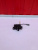 http___export_content_baz_on_ru_pub_c4101_productphoto_0000_00_0000_00_652__http___export_content_baz_on_ru_pub_c4101_productphoto_0000_00_0000_00_1.j