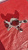 http___export_content_baz_on_ru_pub_c4101_productphoto_0000_01_0000_01_273__http___export_content_baz_on_ru_pub_c4101_productphoto_0000_01_0000_01_1.j