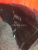 http___export_content_baz_on_ru_pub_c4101_productphoto_0000_02_0000_02_616__http___export_content_baz_on_ru_pub_c4101_productphoto_0000_02_0000_02_3.j