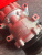 http___export_content_baz_on_ru_pub_c4101_productphoto_0000_03_0000_03_808__http___export_content_baz_on_ru_pub_c4101_productphoto_0000_03_0000_03_3.j