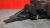 http___export_content_baz_on_ru_pub_c4101_productphoto_0000_04_0000_04_160__http___export_content_baz_on_ru_pub_c4101_productphoto_0000_04_0000_04_8.j http___export_content_baz_on_ru_pub_c4101_productphoto_0000_04_0000_04_160__http___export_content_baz_on_ru_pub_c4101_productphoto_0000_04_0000_04_8.j