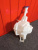 http___export_content_baz_on_ru_pub_c4101_productphoto_0000_04_0000_04_893__http___export_content_baz_on_ru_pub_c4101_productphoto_0000_04_0000_04_1.j