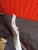 http___export_content_baz_on_ru_pub_c4101_productphoto_0000_04_0000_04_626__http___export_content_baz_on_ru_pub_c4101_productphoto_0000_04_0000_04_6.j