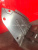 http___export_content_baz_on_ru_pub_c4101_productphoto_0000_02_0000_02_630__http___export_content_baz_on_ru_pub_c4101_productphoto_0000_02_0000_02_2.j