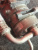 http___export_content_baz_on_ru_pub_c4101_productphoto_0000_03_0000_03_808__http___export_content_baz_on_ru_pub_c4101_productphoto_0000_03_0000_03_5.j