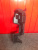 http___export_content_baz_on_ru_pub_c4101_productphoto_0000_03_0000_03_227__http___export_content_baz_on_ru_pub_c4101_productphoto_0000_03_0000_03_1.j