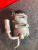 http___export_content_baz_on_ru_pub_c4101_productphoto_0000_03_0000_03_808__http___export_content_baz_on_ru_pub_c4101_productphoto_0000_03_0000_03_7.j