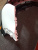 http___export_content_baz_on_ru_pub_c4101_productphoto_0000_04_0000_04_992__http___export_content_baz_on_ru_pub_c4101_productphoto_0000_04_0000_04_6.j