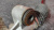 http___export_content_baz_on_ru_pub_c4101_productphoto_0000_01_0000_01_945__http___export_content_baz_on_ru_pub_c4101_productphoto_0000_01_0000_01_11.