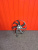 http___export_content_baz_on_ru_pub_c4101_productphoto_0000_04_0000_04_902__http___export_content_baz_on_ru_pub_c4101_productphoto_0000_04_0000_04_2.j