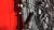 http___export_content_baz_on_ru_pub_c4101_productphoto_0000_02_0000_02_295__http___export_content_baz_on_ru_pub_c4101_productphoto_0000_02_0000_02_15.