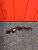 http___export_content_baz_on_ru_pub_c4101_productphoto_0000_04_0000_04_636__http___export_content_baz_on_ru_pub_c4101_productphoto_0000_04_0000_04_2.j
