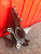 http___export_content_baz_on_ru_pub_c4101_productphoto_0000_03_0000_03_392__http___export_content_baz_on_ru_pub_c4101_productphoto_0000_03_0000_03_4.j