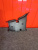 http___export_content_baz_on_ru_pub_c4101_productphoto_0000_05_0000_05_095__http___export_content_baz_on_ru_pub_c4101_productphoto_0000_05_0000_05_2.j http___export_content_baz_on_ru_pub_c4101_productphoto_0000_05_0000_05_095__http___export_content_baz_on_ru_pub_c4101_productphoto_0000_05_0000_05_2.j