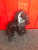 фонарь_заднего_хода_задний_левый_zeekr_x_7.jpg фонарь_заднего_хода_задний_левый_zeekr_x_7.jpg