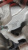 http___export_content_baz_on_ru_pub_c4101_productphoto_0000_01_0000_01_983__http___export_content_baz_on_ru_pub_c4101_productphoto_0000_01_0000_01_18.