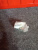 http___export_content_baz_on_ru_pub_c4101_productphoto_0000_04_0000_04_587__http___export_content_baz_on_ru_pub_c4101_productphoto_0000_04_0000_04_2.j