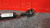 http___export_content_baz_on_ru_pub_c4101_productphoto_0000_01_0000_01_936__http___export_content_baz_on_ru_pub_c4101_productphoto_0000_01_0000_01_7.j