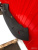 http___export_content_baz_on_ru_pub_c4101_productphoto_0000_00_0000_00_757__http___export_content_baz_on_ru_pub_c4101_productphoto_0000_00_0000_00_3.j