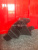 http___export_content_baz_on_ru_pub_c4101_productphoto_0000_02_0000_02_841__http___export_content_baz_on_ru_pub_c4101_productphoto_0000_02_0000_02_1.j