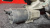 http___export_content_baz_on_ru_pub_c4101_productphoto_0000_01_0000_01_983__http___export_content_baz_on_ru_pub_c4101_productphoto_0000_01_0000_01_4.j